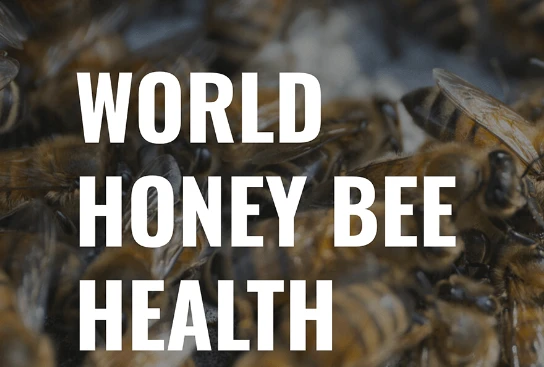 Is Honey Bee Health Legit